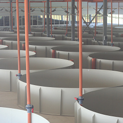 Аквакультура и рыбоводство (УЗВ)